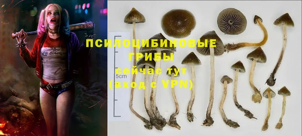 марки nbome Алексеевка