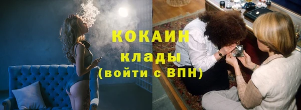 гашик Алзамай