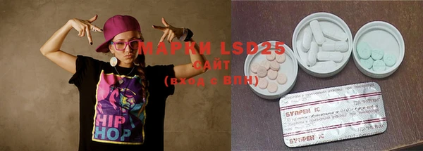 гашик Алзамай