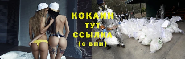 гидра Наволоки