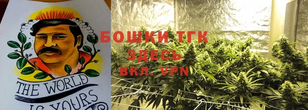 ГАЛЛЮЦИНОГЕННЫЕ ГРИБЫ Алексин