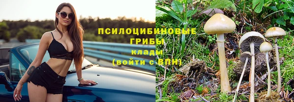 марки nbome Алексеевка