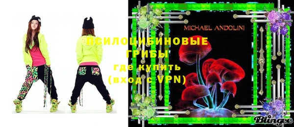 ГАЛЛЮЦИНОГЕННЫЕ ГРИБЫ Алексин