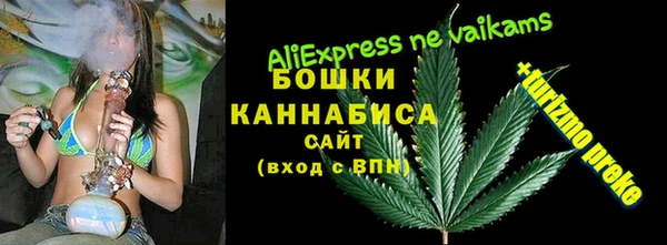 ГАЛЛЮЦИНОГЕННЫЕ ГРИБЫ Алексин
