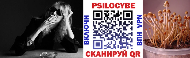 mega как войти  Чусовой  Галлюциногенные грибы MAGIC MUSHROOMS 